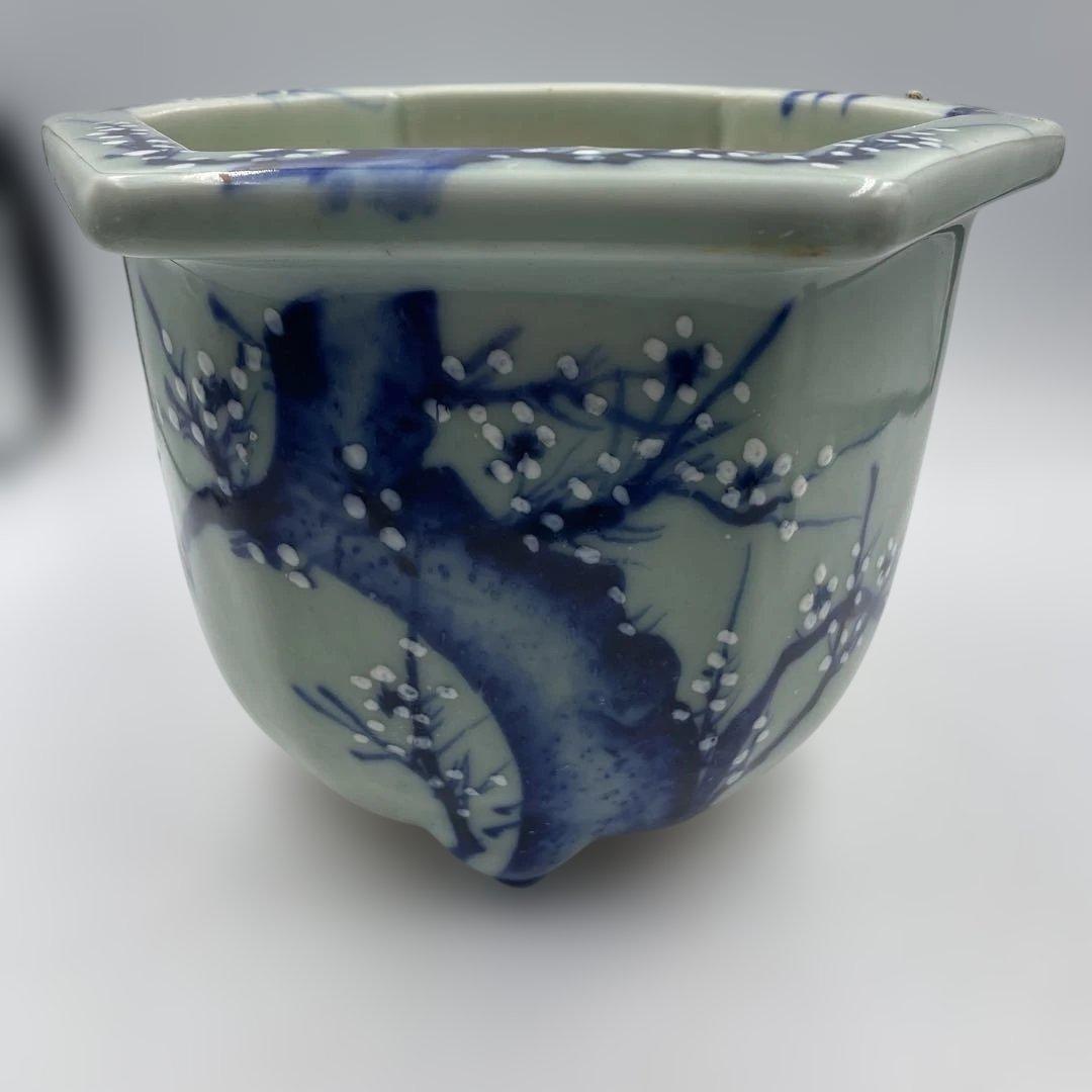 瀬戸 梅文 青磁 植木鉢 盆栽鉢 梅鉢 時代物　❷個セット