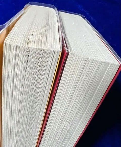 【小学館】パンクポンク / たちいりハルコ