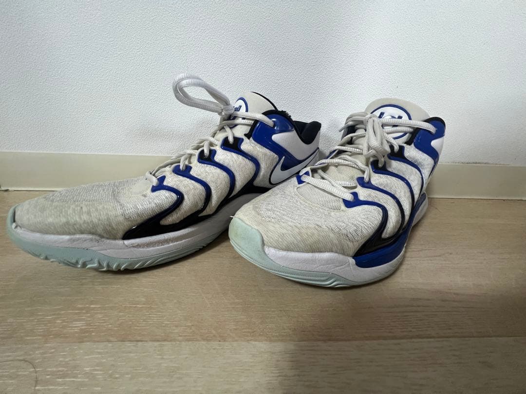 シューズ(男性用) NIKE KD17 29cm