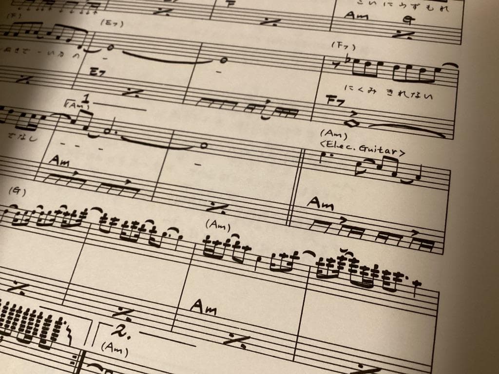 ★楽譜/沢田研二/インコンサート/レコードコピー/ギター弾き語り/全38曲