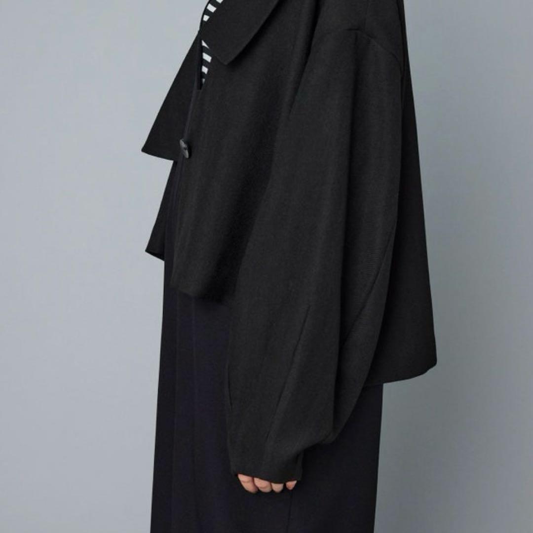 HeRIN.CYE Asymmetry collar jacket 黒 試着のみ