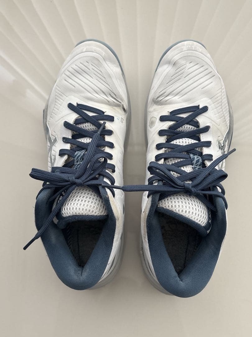 ASICS /スカイエリートFF MT3 /ホワイト/ドルフィングレー28㎝