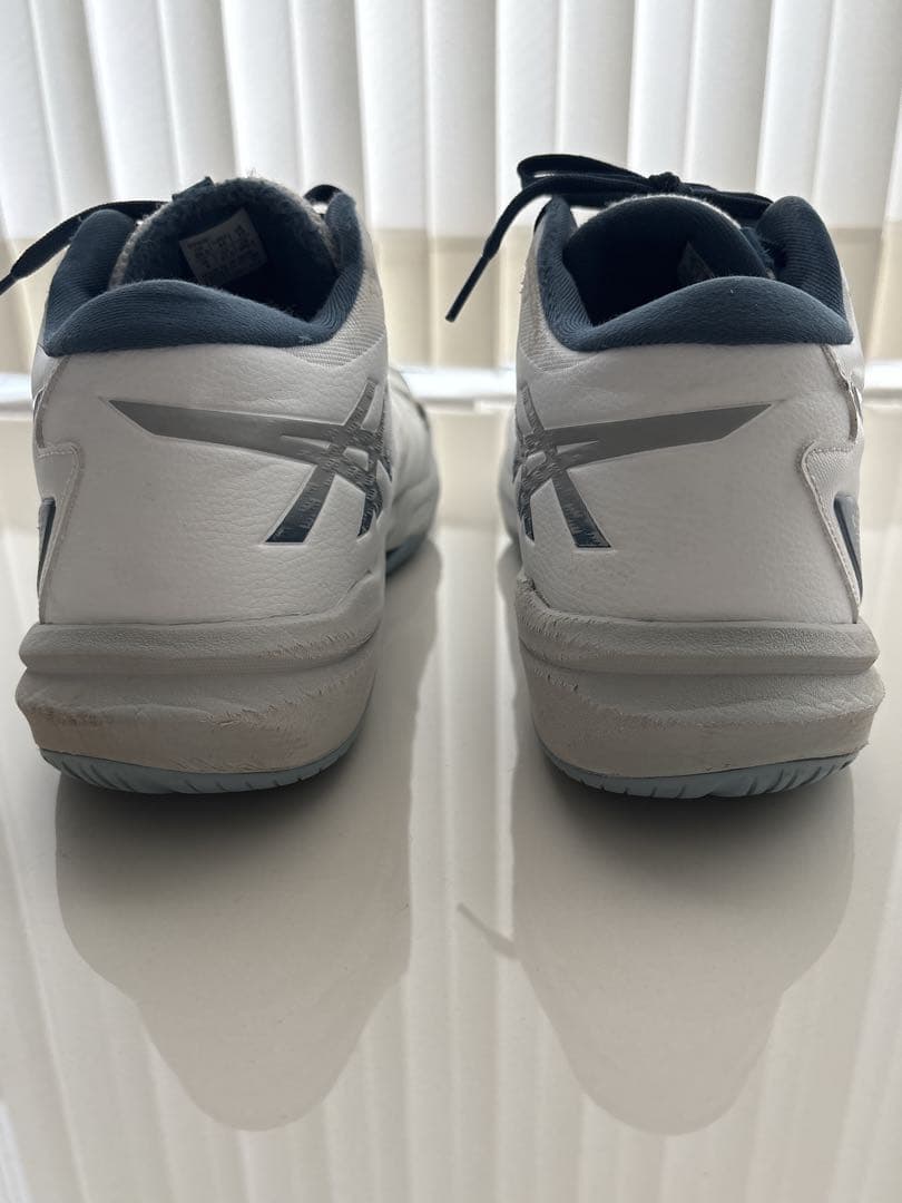 ASICS /スカイエリートFF MT3 /ホワイト/ドルフィングレー28㎝