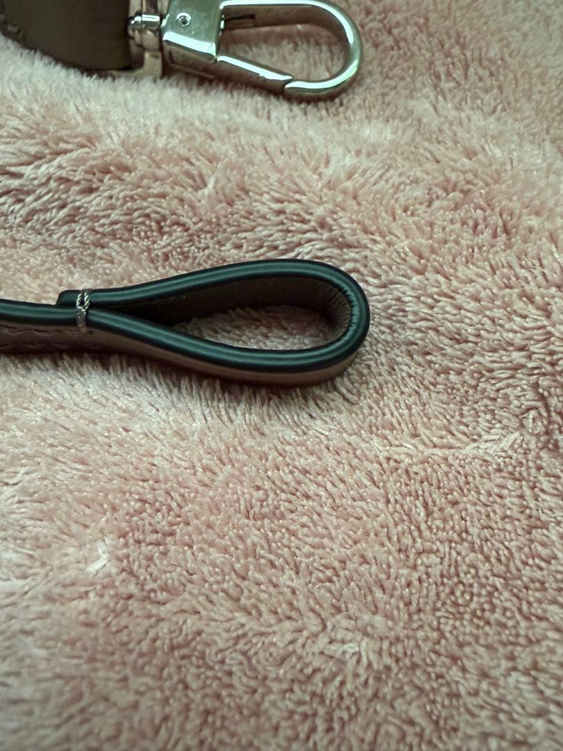 エルベシャプリエ Herve Chapelier (レザーストラップ)