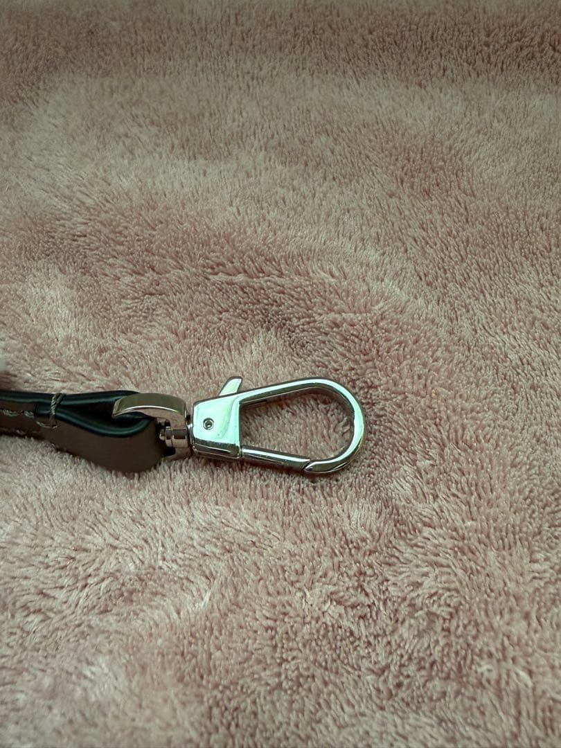 エルベシャプリエ Herve Chapelier (レザーストラップ)