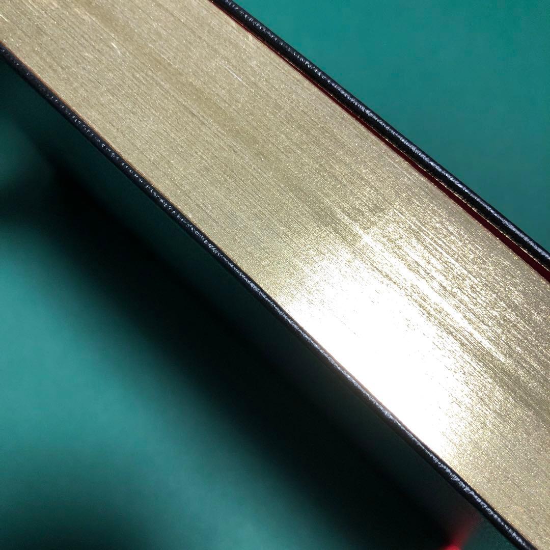 HOLY BIBLE ホーリーバイブル MACK AMC