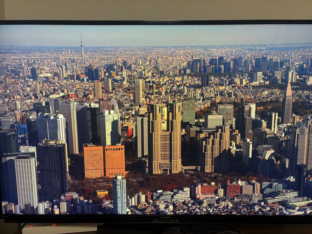 SHARP 50V 液晶テレビ 4T-C50BL1 2020年製