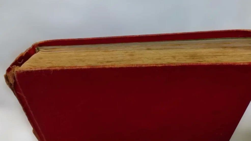 【アンティーク洋書】ハイジ ドイツ語版 1900年代初頭 古書 インテリア