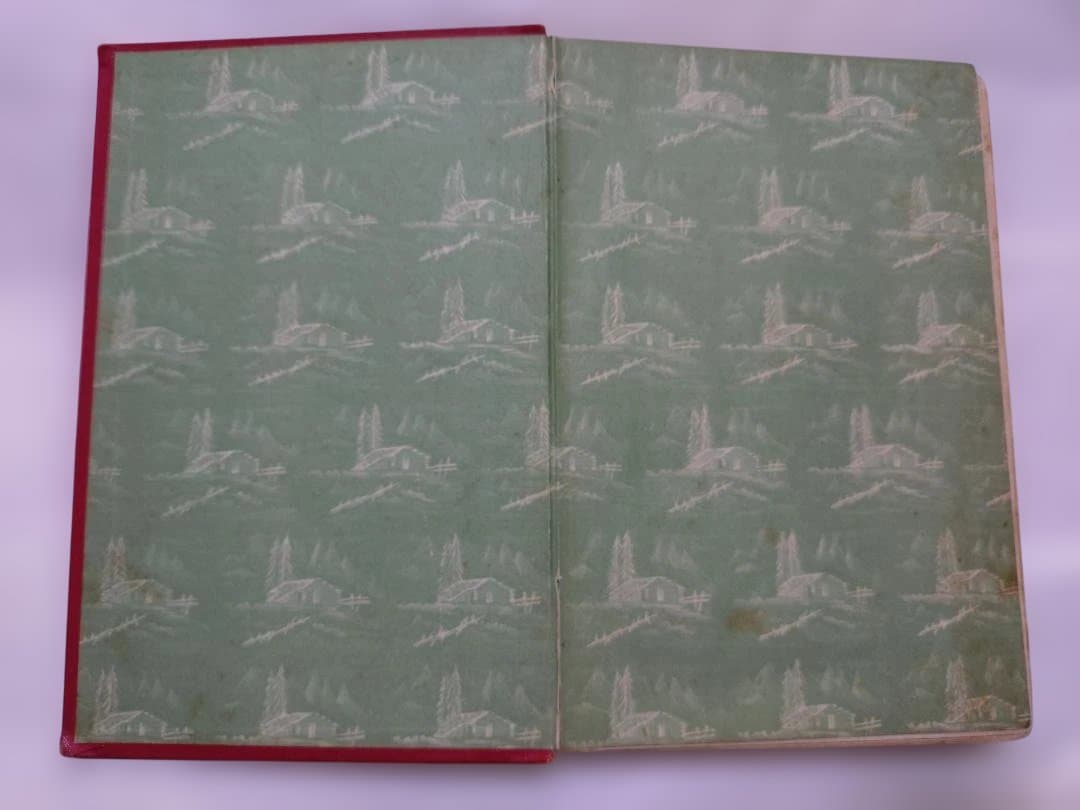 【アンティーク洋書】ハイジ ドイツ語版 1900年代初頭 古書 インテリア