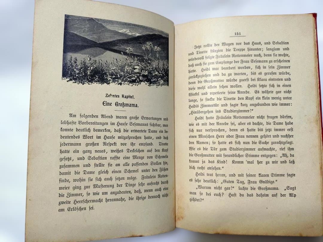 【アンティーク洋書】ハイジ ドイツ語版 1900年代初頭 古書 インテリア