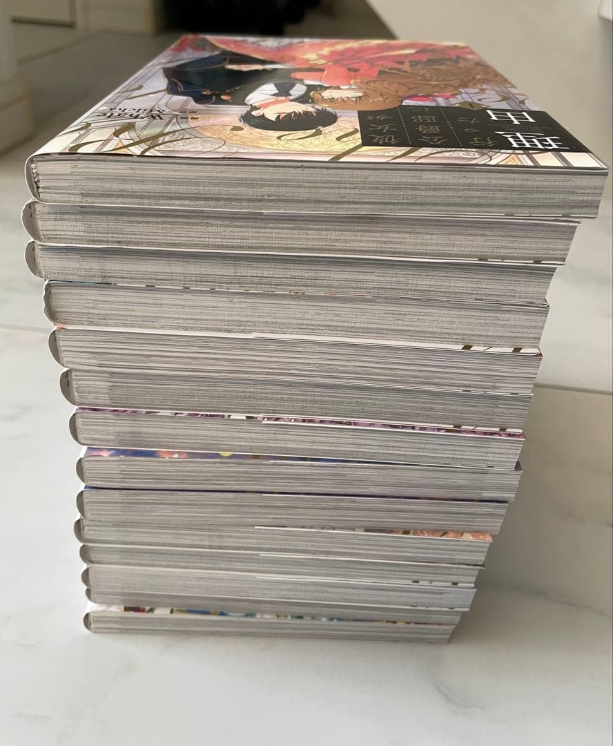 彼女が公爵邸に行った理由 1〜14巻　完結全巻