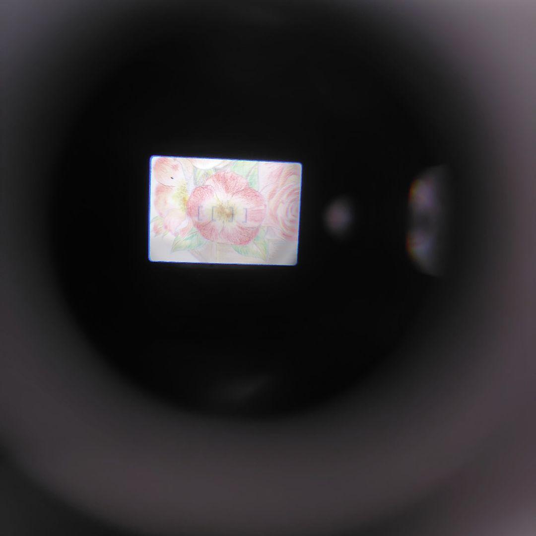 ☆☆極上美品❕完動品☆☆ Canon Autoboy Epo （エポ）