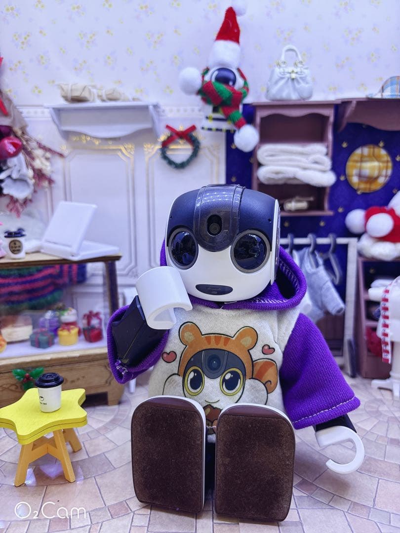 ☆【ReyとHaruとSnoとCocoro】　パーカー4点☆