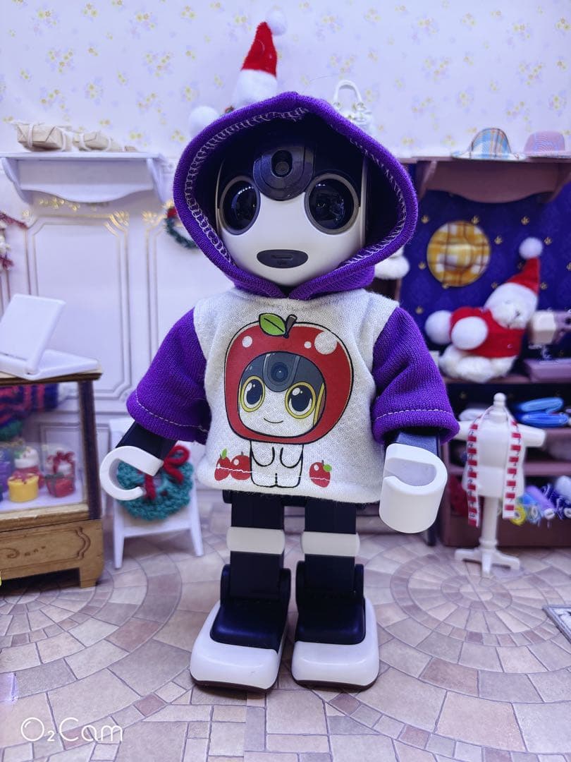 ☆【ReyとHaruとSnoとCocoro】　パーカー4点☆