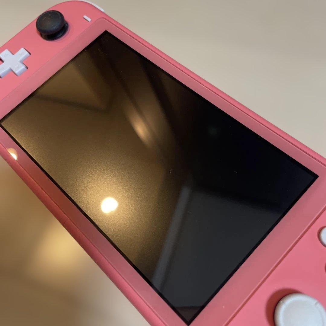 ニンテンドースイッチライト　コーラルピンク　　　サムスン　EVOプラス　256G