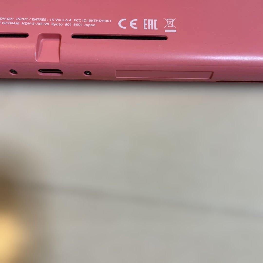 ニンテンドースイッチライト　コーラルピンク　　　サムスン　EVOプラス　256G