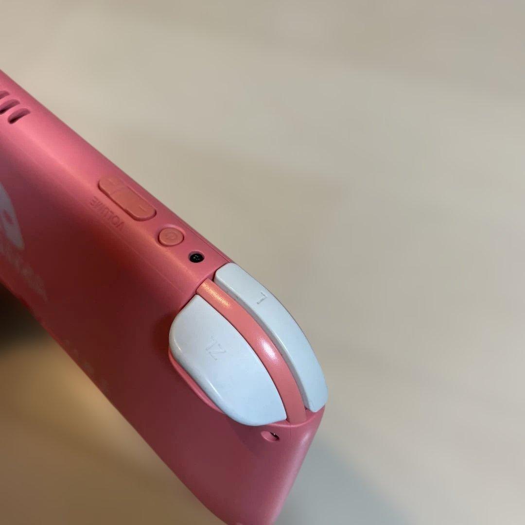 ニンテンドースイッチライト　コーラルピンク　　　サムスン　EVOプラス　256G