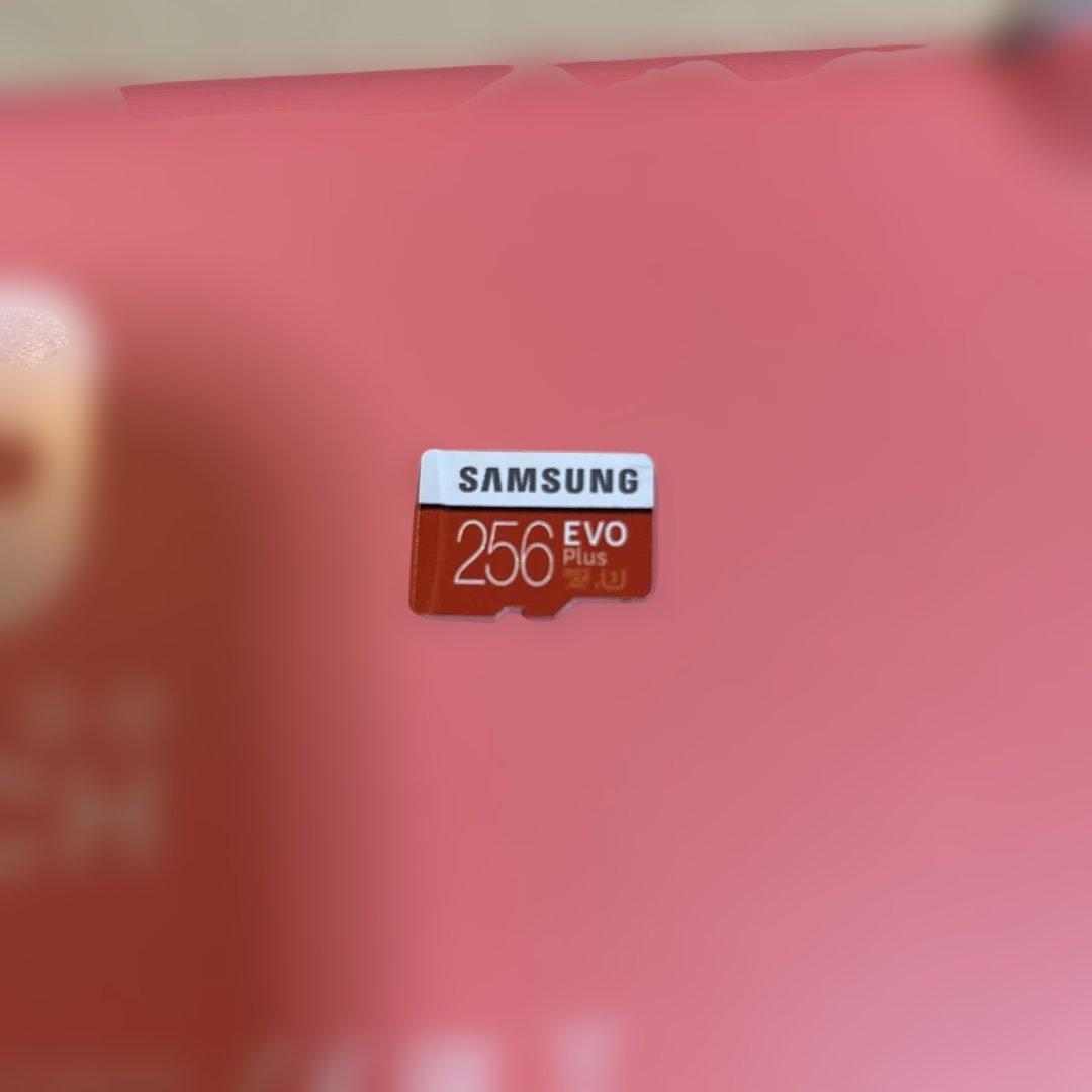 ニンテンドースイッチライト　コーラルピンク　　　サムスン　EVOプラス　256G