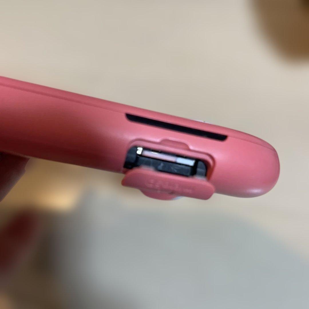 ニンテンドースイッチライト　コーラルピンク　　　サムスン　EVOプラス　256G