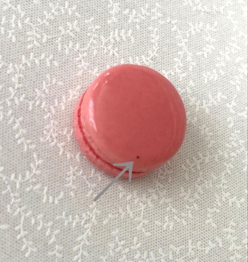 フェーヴ　フイエット　2026年　コンプリート