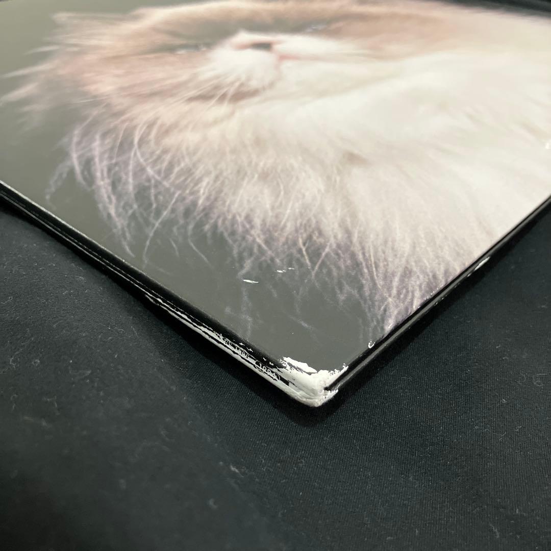 カネコアヤノ　燦々　LP レコード　アナログ盤