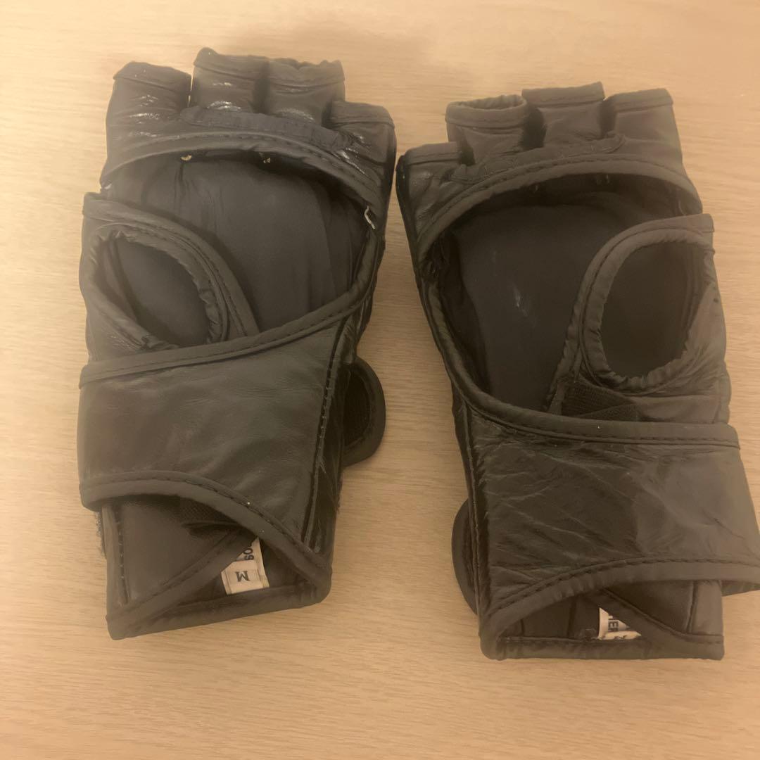 総合格闘技Fairtex ONE グローブ Mサイズ