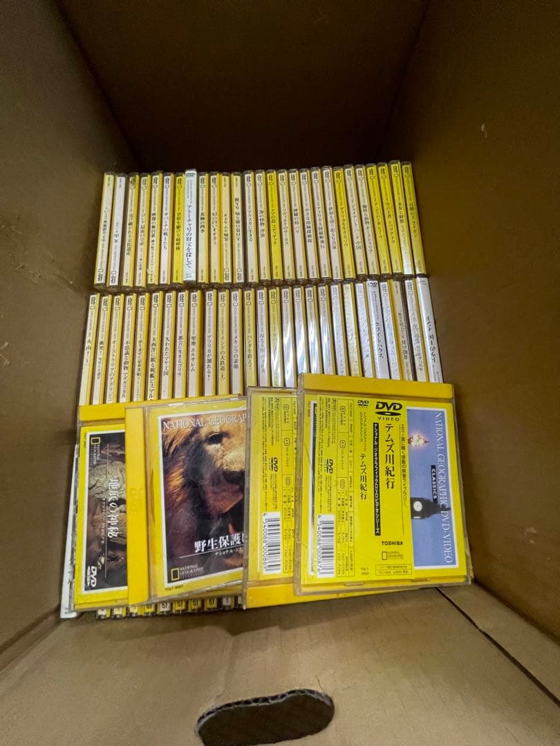 ポ*グ様 野生動物・ナショナルジオグラフィック DVDセットほぼ揃ってます2枚ほ