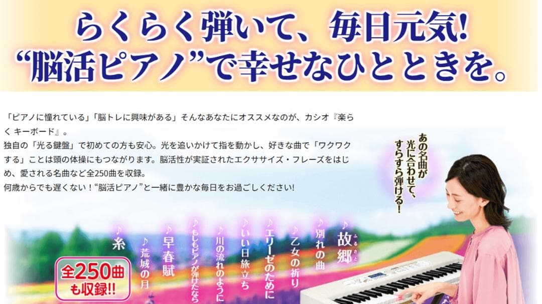 カシオトーン　LK-526　上品な黒