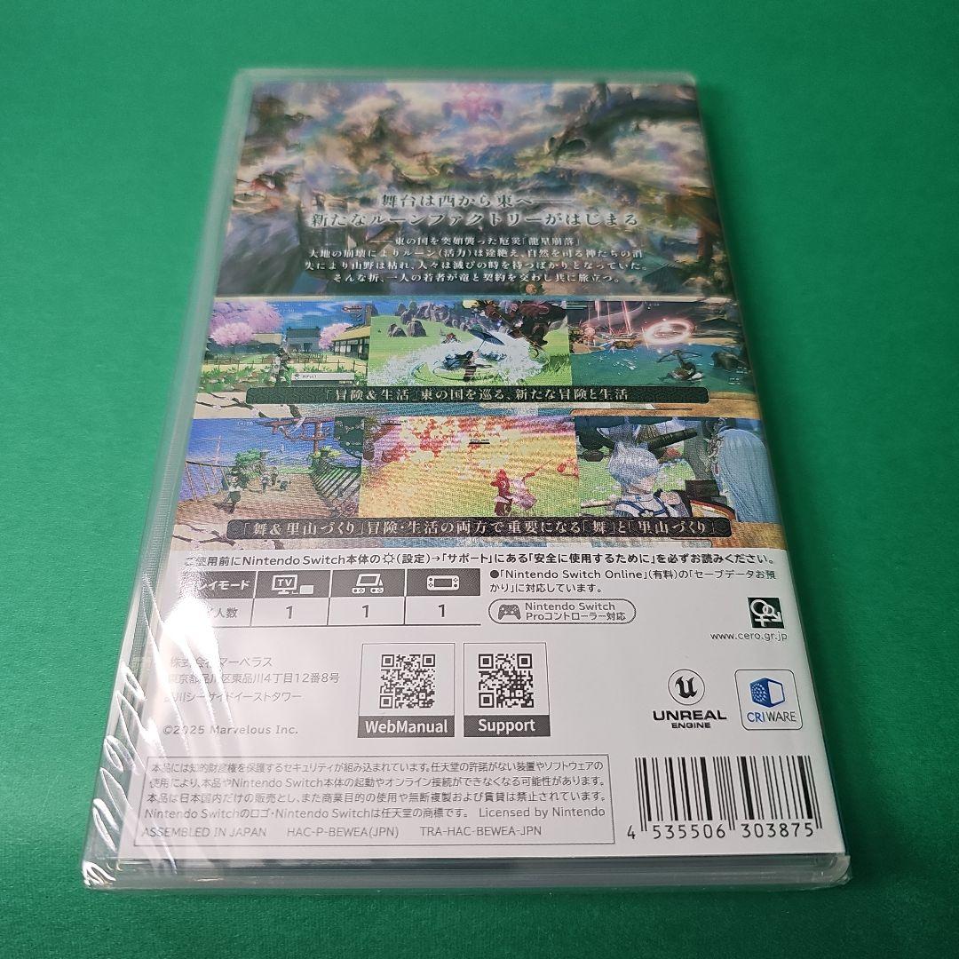 【新品未開封】龍の国 ルーンファクトリー 数量限定特典クリアファイル付き