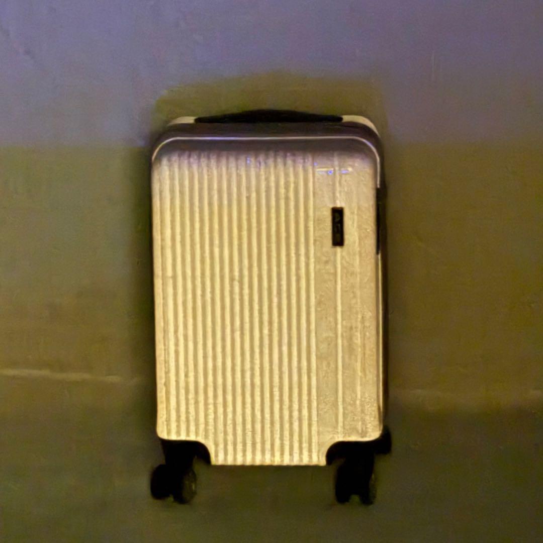 限定品✨ ACE　拡張タイプ　ピンクラメ　4輪　機内持込　TSAロック　キャリー