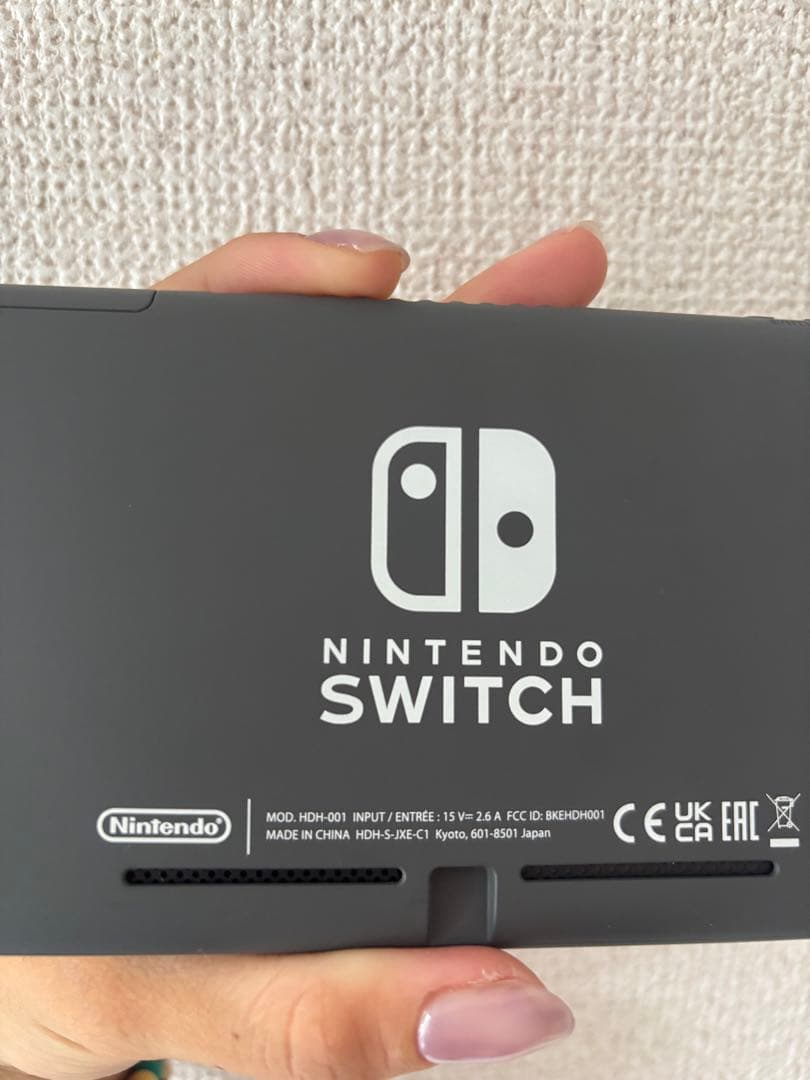 Nintendo Switch Lite グレー 本体　充電器SDカード付き箱有