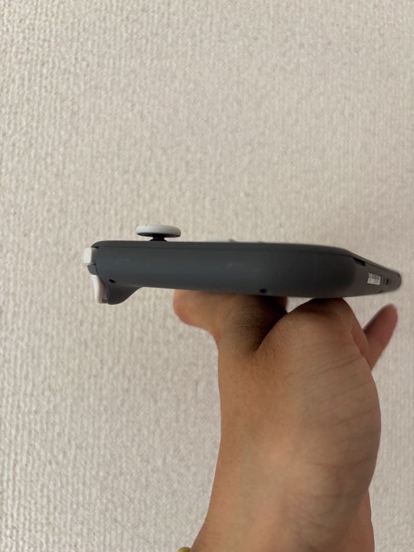 Nintendo Switch Lite グレー 本体　充電器SDカード付き箱有