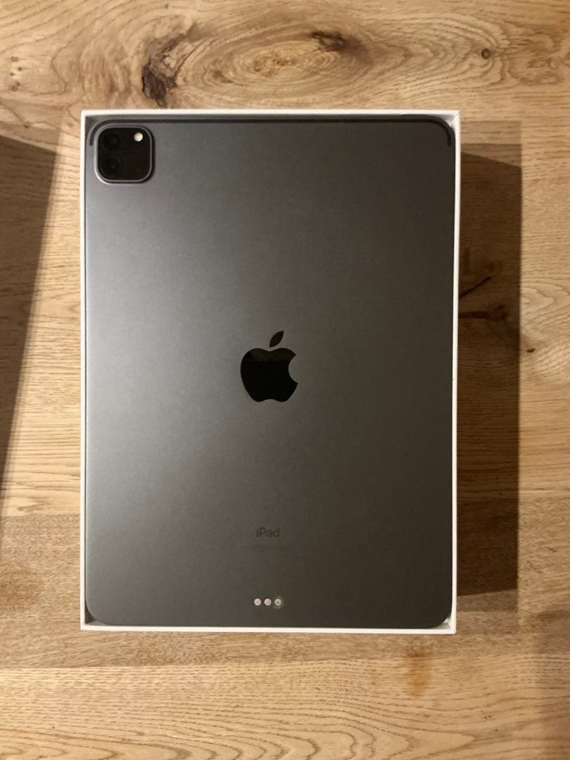 iPad Pro (第5世代) 11インチ スペースグレー　ジャンク品