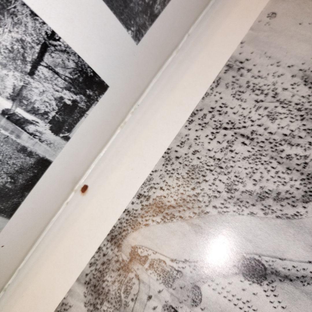 アート・デザイン・音楽 Capability Brown Dorothy Stroud