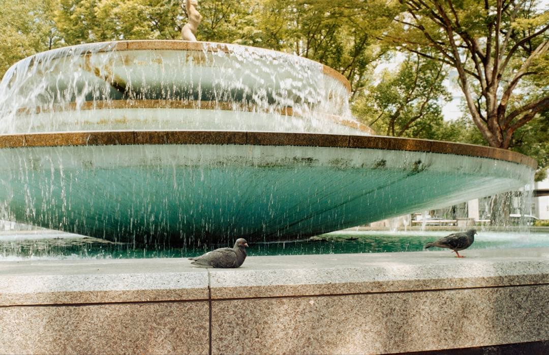 レンズ(単焦点) Ernst Leitz Wetzlar Summaron 35mm f:3.5