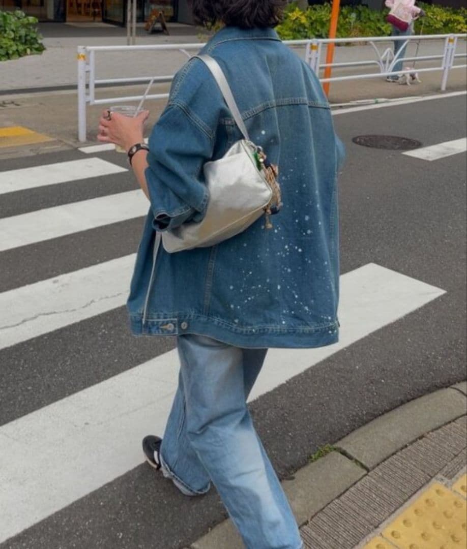 美品✨ear PAPILLONNER　ミニスワローマチショルダーバッグ　シルバー