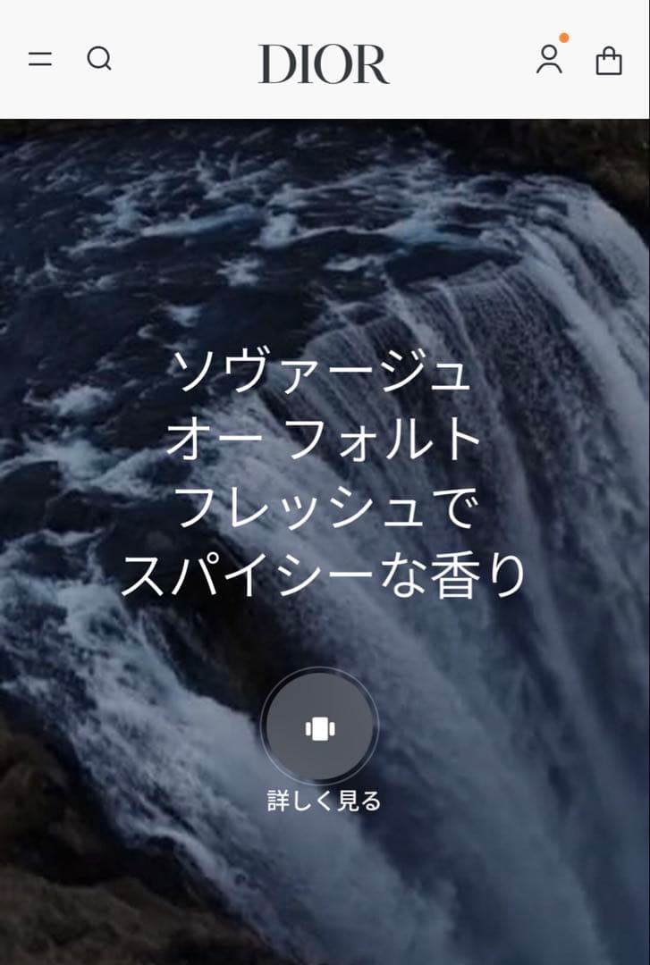 Dior SAUVAGE EAU FORTE PARFUM 100ml 香水