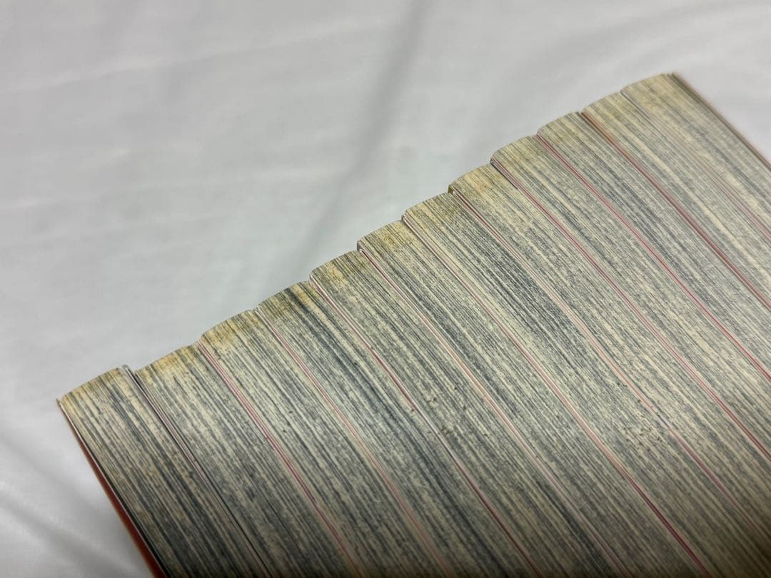 ★まとめ売り★ハニーレモンソーダ 1〜21.23〜25&番外編セット