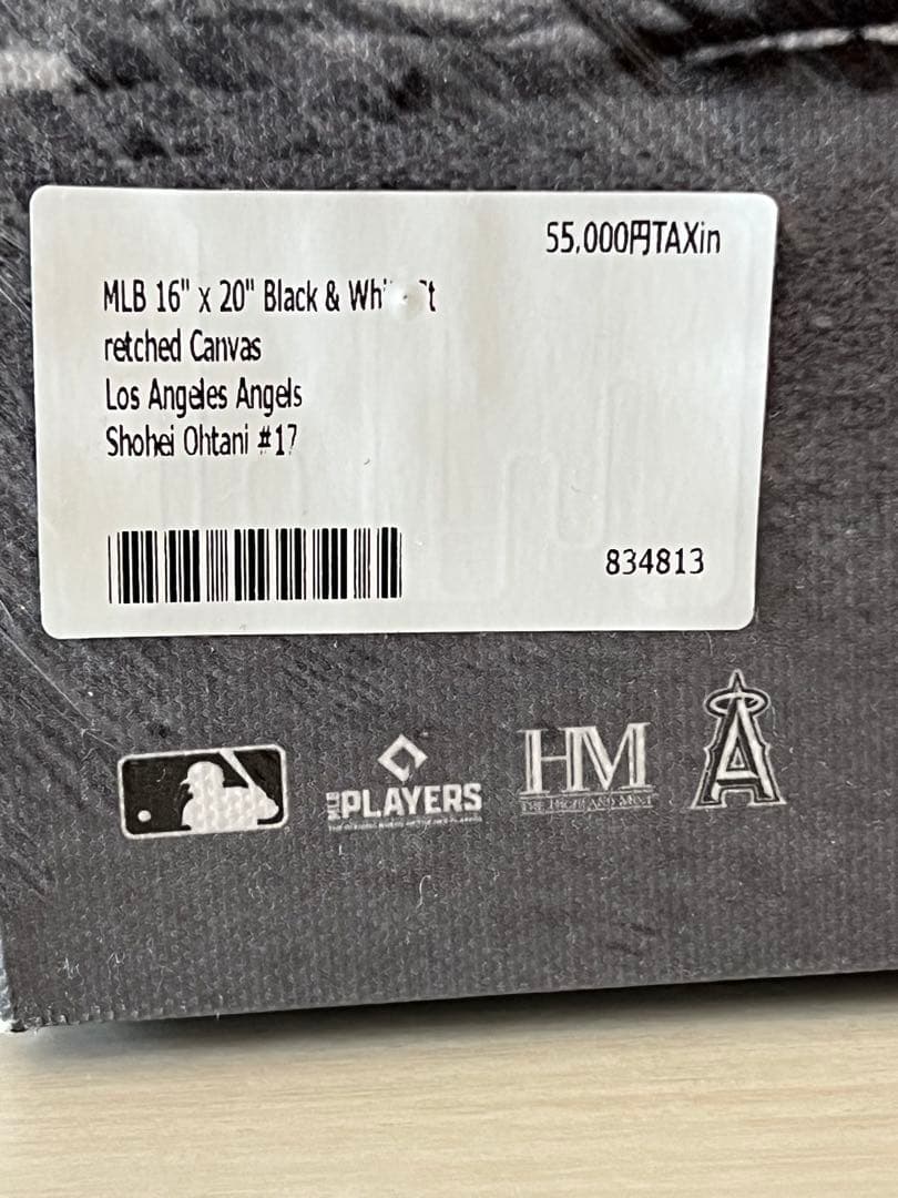 大谷翔平　パネルポスター　写真