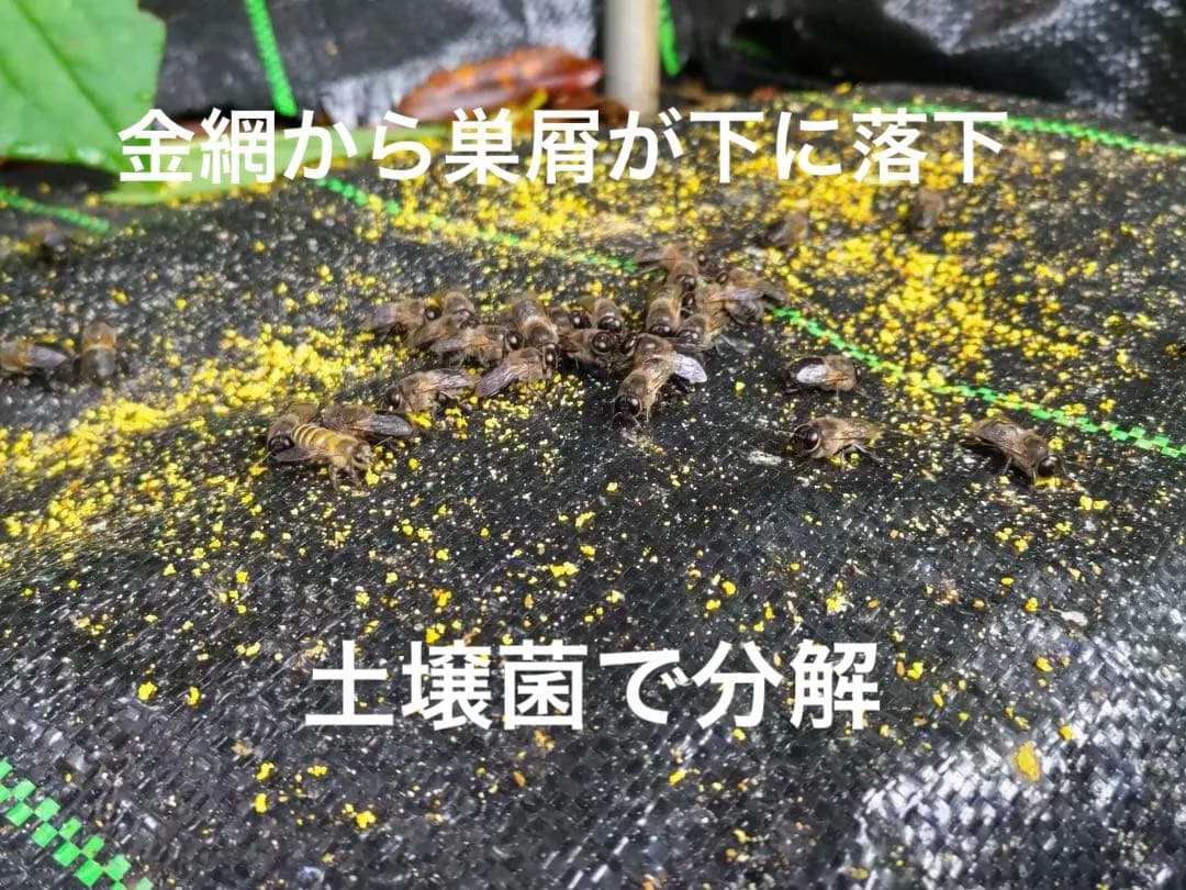 日本蜜蜂 重箱式巣箱4段 スライド底板 付巣門台座
