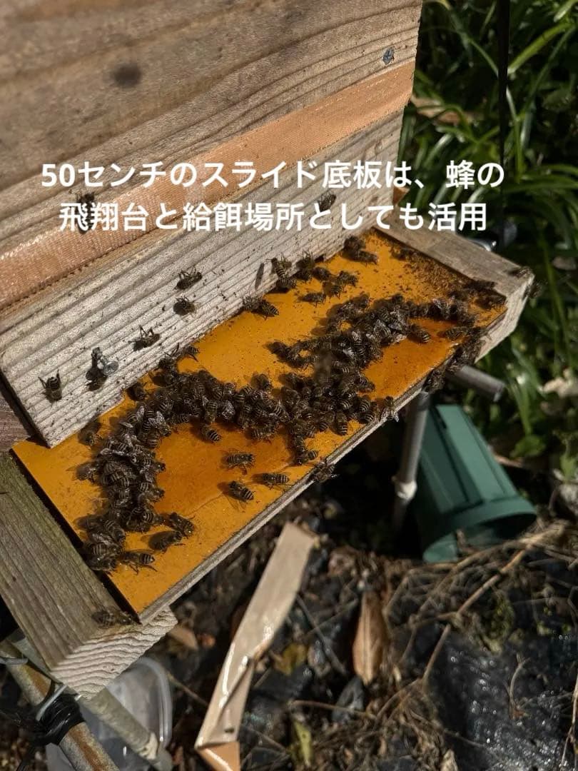 日本蜜蜂 重箱式巣箱4段 スライド底板 付巣門台座