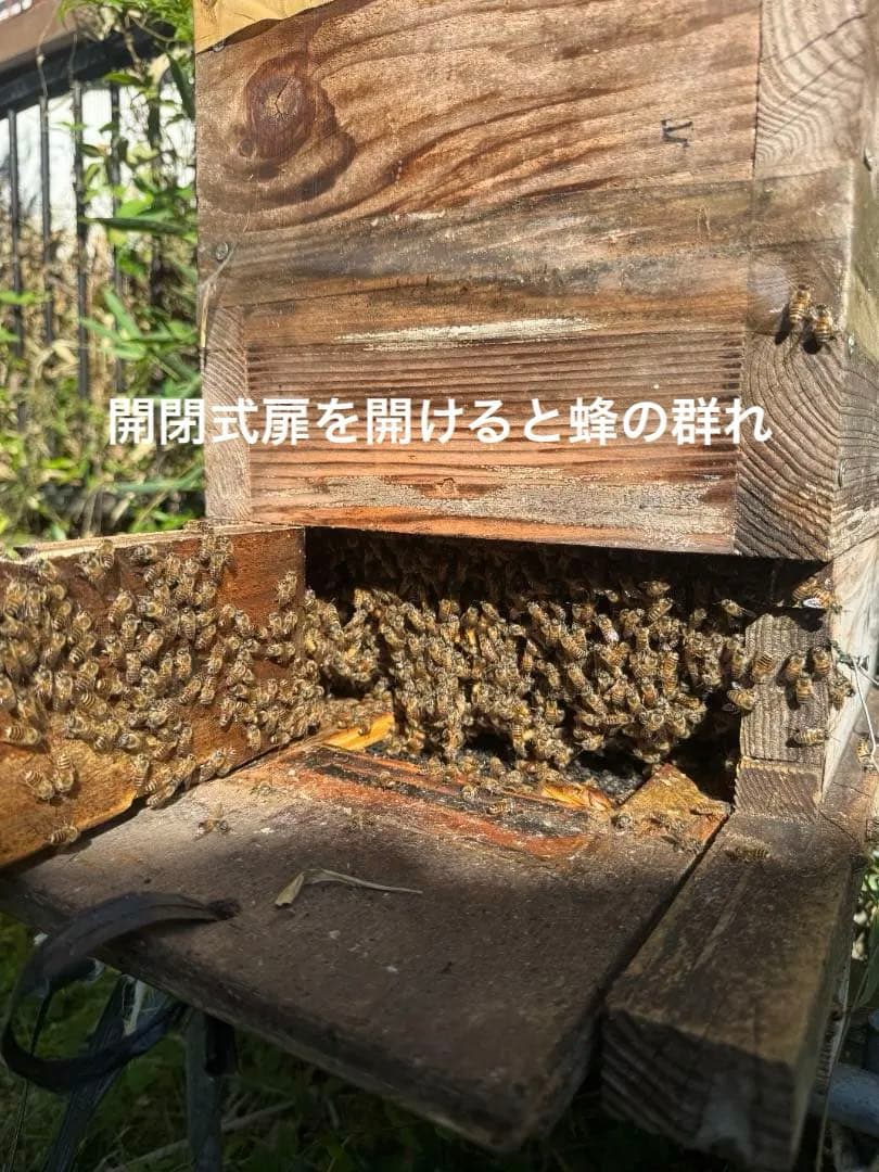 日本蜜蜂 重箱式巣箱4段 スライド底板 付巣門台座