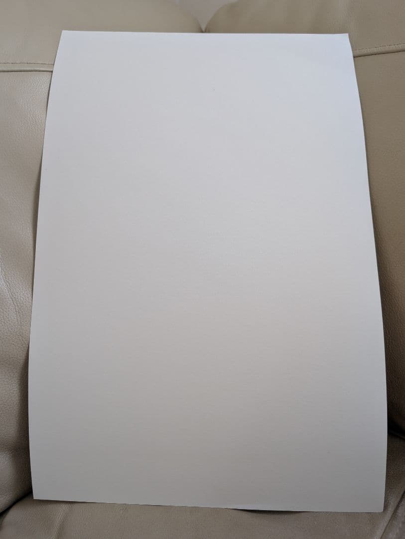 hanai 花井祐介 シルクスクリーン ロサンゼルス限定 ネペンテス サイン