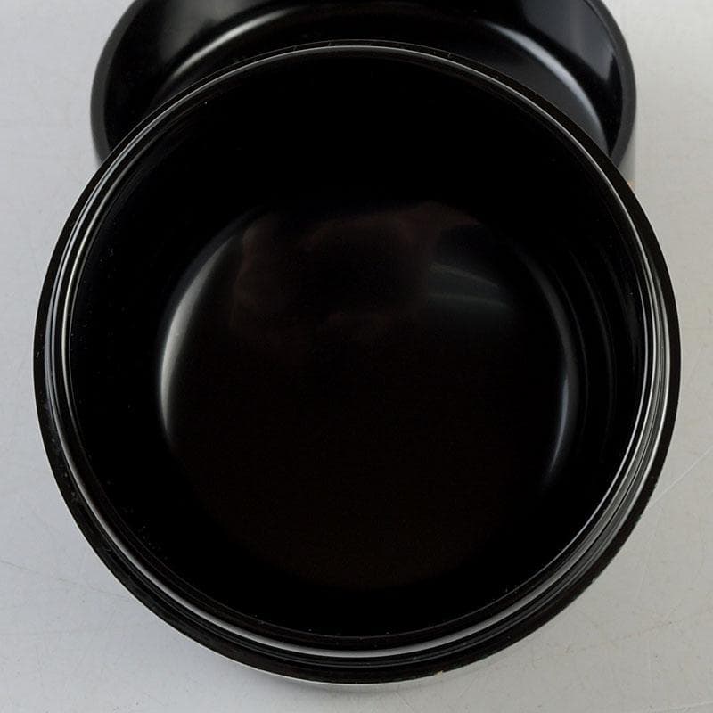 ちゃちゃ　蒔絵師　中林貴山作　柳に燕蒔絵　雪吹　棗　共箱　V　9352