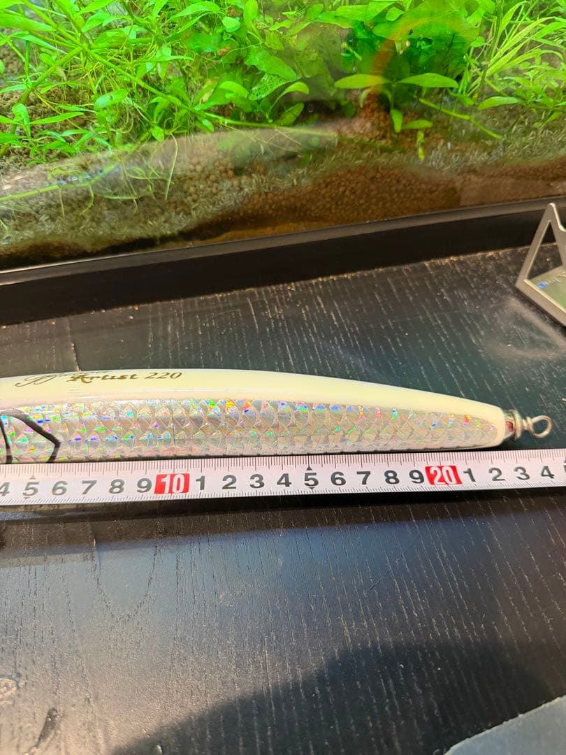 Bubble Artist 220 ポッパー 24cm 未使用 ビッグゲーム