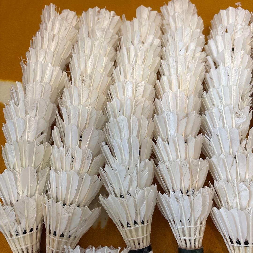 バドミントン　ノック用シャトル　220球セット　ヨネックス　ゴーセン