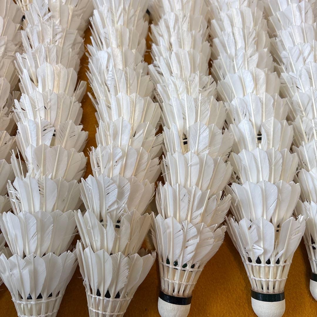 バドミントン　ノック用シャトル　220球セット　ヨネックス　ゴーセン