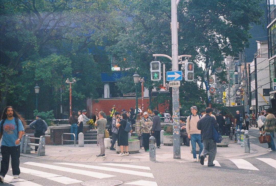 【美品/試写有】Leica IIIf Leitz Elmar 5cm f/3.5