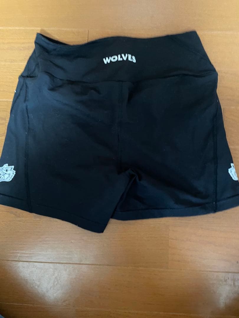 正規品❗️レア品❗️Darc sports ブラandレギンス