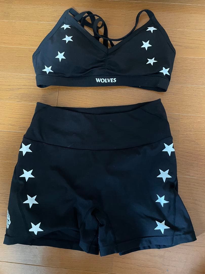 正規品❗️レア品❗️Darc sports ブラandレギンス